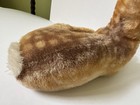 Vintage Mohair Steiff Baby Deer Spotted Fawn Whitetail Lying Large Recumbent 60s