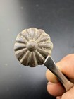 Revolutionary War Button Antique Relic Framed Display Found In Virginia