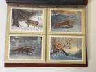 Royal Mail Phq Postcards Stamp Cards 1992-1993 Collection Album Mint Sets