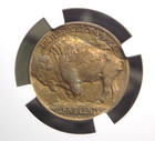 1913  d  Indian Head Buffalo Nickel  type 1  5c Ngc Unc Details  003 Unc Ecc c