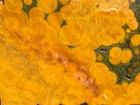 Kabamby Ocean Jasper 5 x2 5  Orbicular Agate Lapidary Rough Slab Cabbing K0j2