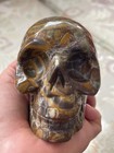 4  Natural Bamboo Jasper Carved Skeleton  Realistic crystal Healing Skull  sk238