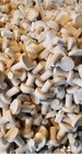 Ceramic Small Coral Frag Plugs      2000 Pc  The Magical Reef