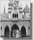       huge 16x20 Walt Disney Disneyland Sleeping Beauty Castle 1955 New Lusterfinish