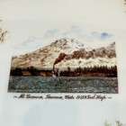 Tacoma Wa Washington Antique Mt Tacoma Souvenir Trinket Painted Plate Dish