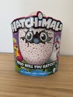 Hatchimals     Who Will You Hatch   penguala draggle Mystery Egg 