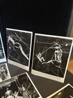 Ringling Bros  And Barnum   Bailey Circus Press Photos  Lot Of 13