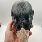 Gothic Raven Skull Resin Wall Hanging With Alchemical astrological Symbols 