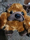 Dan Dee Bulldog Plush Kisses Patch On Side Brown 8  Dog Plush