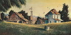  for Sale  200 Acres   By  R  Bradford Johnson 