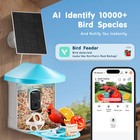 Smart Bird Feeder With Camera Solar Panel Auto Ai Identify Birds App Wi-fi