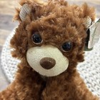 First   Main Willoughby Bear Brown Soft Teddy Bear Plush 8    New W Tag