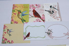 Vtg Colorful Bird Themed  15  Greeting Cards Nos All Occasions Art Decoupage