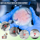 Mold Test Kit For Home With 48hrs Results     6 Rapid Diy Home Tests For Full Home
