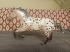 Breyer Rambler 2025 Glossy Appaloosa Collectors Club Exclusive Gamblers Choice