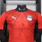 Egypt Home Jersey 2026 Red Player Version Soccer Shirt Football Kit Adult