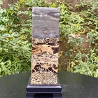 17 6lb  Rare National Treasure Fossil - Authentic Collectible Stone Specimen