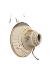 Antique Vintage Porcelain Single Bulb Ceiling Light Fixture With Flowers