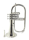 Musical Flugelhorn 3 Valve Bb Nickel Finish With Case And Mouthpiece Brand New