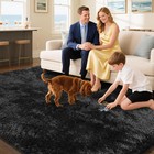 Fluffy Rug Shaggy Area Rug  Black 2x4 Area Rugs For Bedroom  Small Bedside Rug