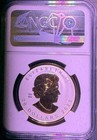 2023 1 Oz Canada  20 Maple Leaf Ultra High Relief Gilt First Day Of Issue W  Coa