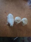 Alaskan Inuit  Carvings
