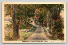 Greetings From Leesburg Ohio Oh Country Road Vintage Postcard