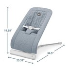 Chicco E-motion Auto-glider   Bouncer Grey