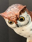 8 25  High Brown Porcelain Owl On Tree Stump