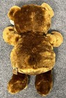 First   Main Hugs Bear 12  Plush Brown Stuffed Animal With Tags