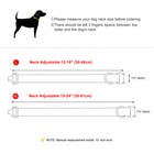 Tactical Dog Collar Heavy Duty Military Training With Personalized Name Print Xl