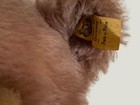 Vintage Steiff Original Teddy Bear No  0202 35  Complete With All Id Very Good