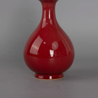 Collectable Art Handmade Painting Red Glaze Porcelain Yuhuchun Vase