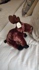 Webkinz Ganz Hm375 Brown Moose Stuffed Animal W  Sealed Code Unused