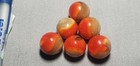 6 Outstanding  Jabo Swirl  Marbles  4 99 Lot  41i