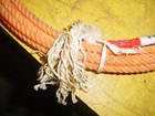  Classic Equine Classic Junior Youth Rope 5 16 X 28 