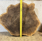 Large Walnut Wood Cookie 3  To 4  Thick And 29  To 26  In Diameter 31lb 