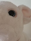 Furreal Friends Newborn Piglet Baby Piglet Pig Toy Plush Does Not Turn On