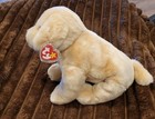 Ty Beanie Buddy   Matching Beanie Baby Fetch Golden Retriever Dog  Nos Mwmt 