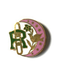 Vintage Daughters Of Rebekah Medal Enamel Pin Odd Fellows
