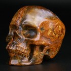3 0  New Pietersite Carved Crystal Skull  Realistic  Crystal Healing