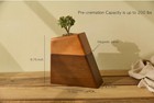 Plant Urn For Adult Human Ashes Cremation Wooden Urn By Aspen Studio