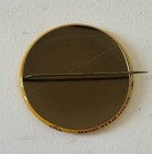 University Minnesota Squash Wash Gophers Football Vintage Pin Button Rose Bowl