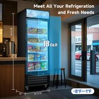 16 Cu ft Single Door Commercial Upright Display Freezer -8 To -1    Auto Defrost