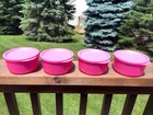 Tupperware Basic Bright Round Container Bowls 2 1 4 Cup Pink Set Of 4