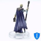Withers - Baldur s Gate 3 Characters  7 D d Icons Of The Realms Miniature