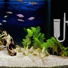 Glass Co2 Diffuser Aquarium Co2 Bubble Diffuser Co2 Aquarium