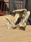 Natural Driftwood Piece Aquarium Terrarium Reptile Tank Decor Craft Display