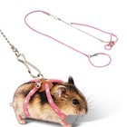 Adjustable Small Pet Hamster Leash Harness Set With Bells Ferrets Traction Rope 