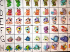 You Pick  Lps Littlest Pet Shop Frogs Lizards Turtles Crabs Fish Bugs